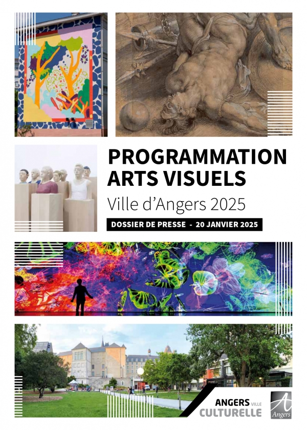 Page de couverture - DP Arts visuels 2025