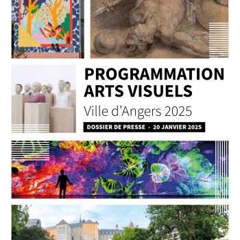 Page de couverture - DP Arts visuels 2025