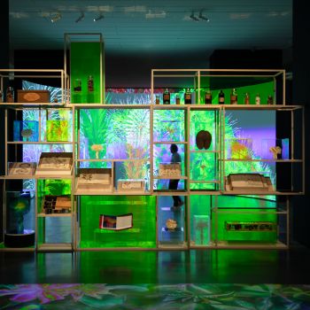 cabinet-curisosites-credit-thomas-granovsky--1