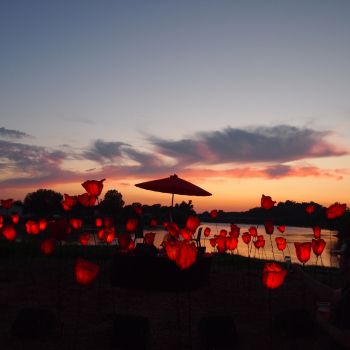 Cie Fredandco - Le Chant des Coquelicots © Fred Bourreau