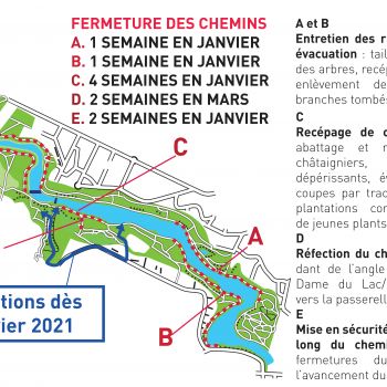 st-nicolas-travaux-sur-patrimoine-arbore-va-66x160cm